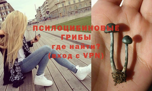 крисы Алзамай
