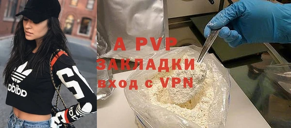 крисы Алзамай