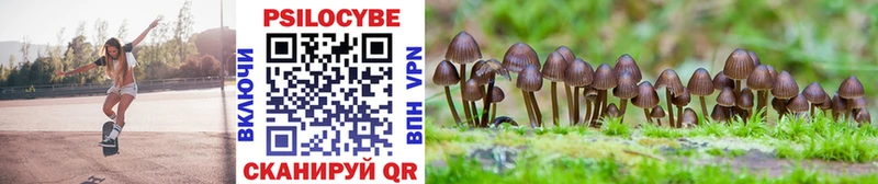 Псилоцибиновые грибы MAGIC MUSHROOMS  Губкин 