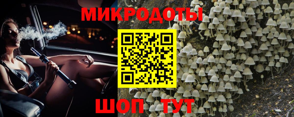 хочу   Вход с VPN  Губкин  Псилоцибиновые грибы мухоморы 